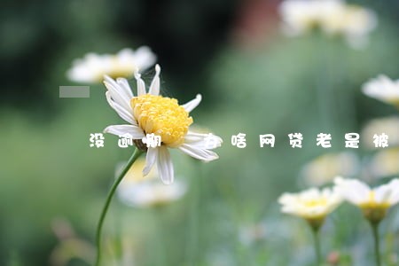 没逾期 为啥网贷老是被拒 没逾期 为啥网贷老是被拒